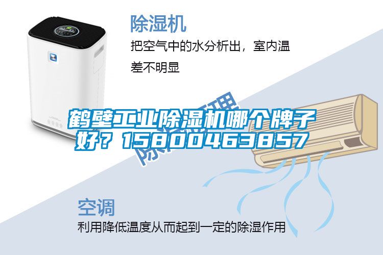 鹤壁工业除湿机哪个牌子好？15800463857