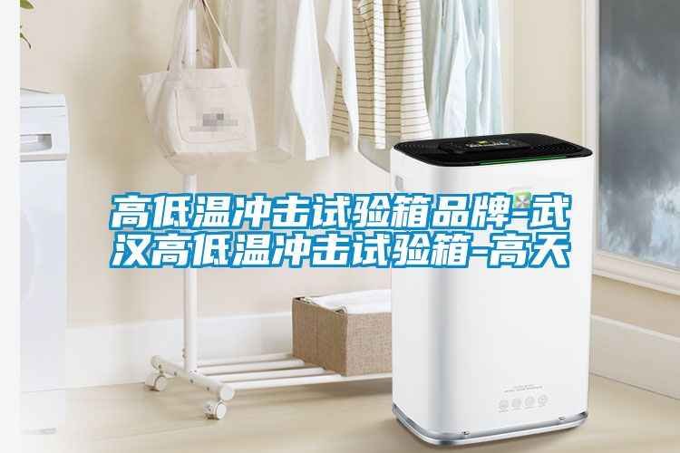 高低温冲击试验箱品牌-武汉高低温冲击试验箱-高天