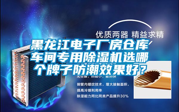黑龙江电子厂房仓库车间专用除湿机选哪个牌子防潮效果好？