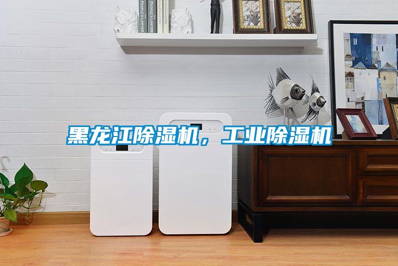 黑龙江除湿机，工业除湿机