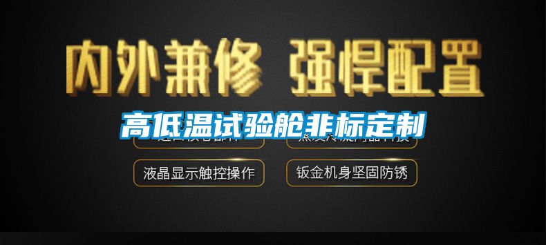 高低温试验舱非标定制