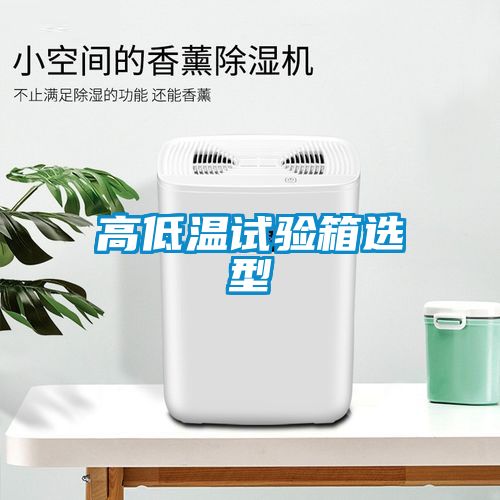 高低温试验箱选型