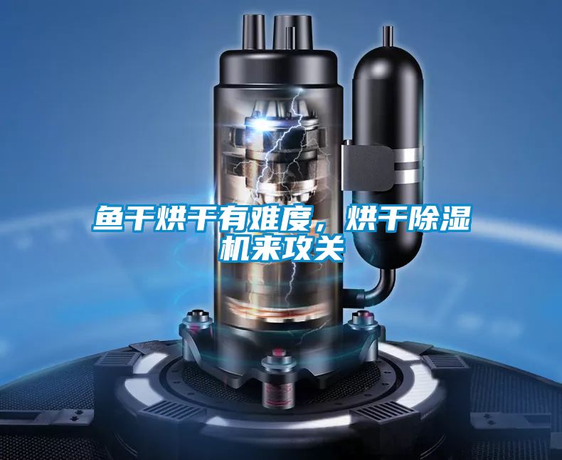 鱼干烘干有难度，烘干除湿机来攻关