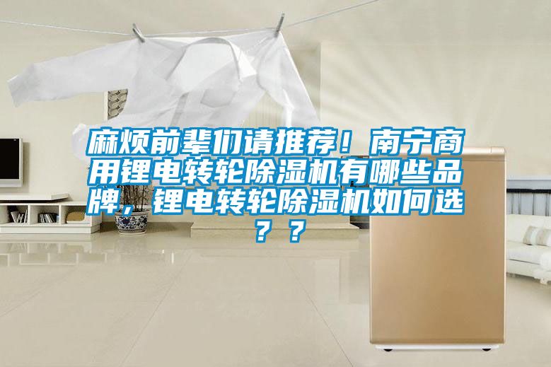 麻烦前辈们请推荐！南宁商用锂电转轮除湿机有哪些品牌，锂电转轮除湿机如何选？？