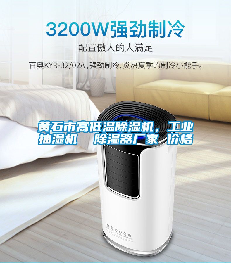 黄石市高低温除湿机，工业抽湿机  除湿器厂家 价格