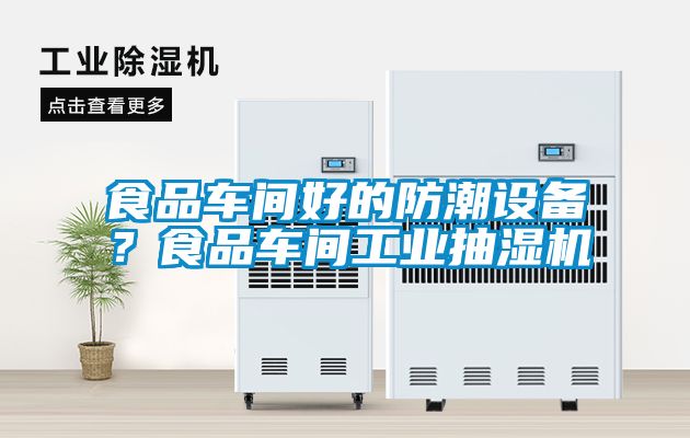 食品车间好的防潮设备？食品车间工业抽湿机