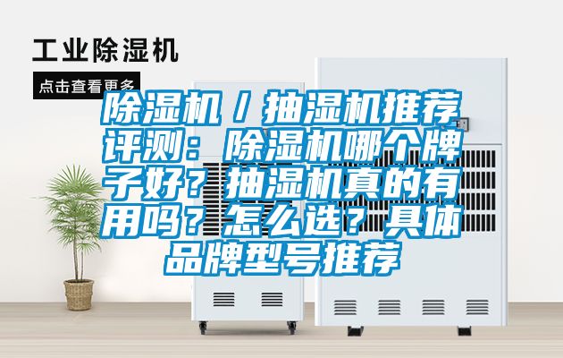 除湿机／抽湿机推荐评测：除湿机哪个牌子好？抽湿机真的有用吗？怎么??？具体品牌型号推荐