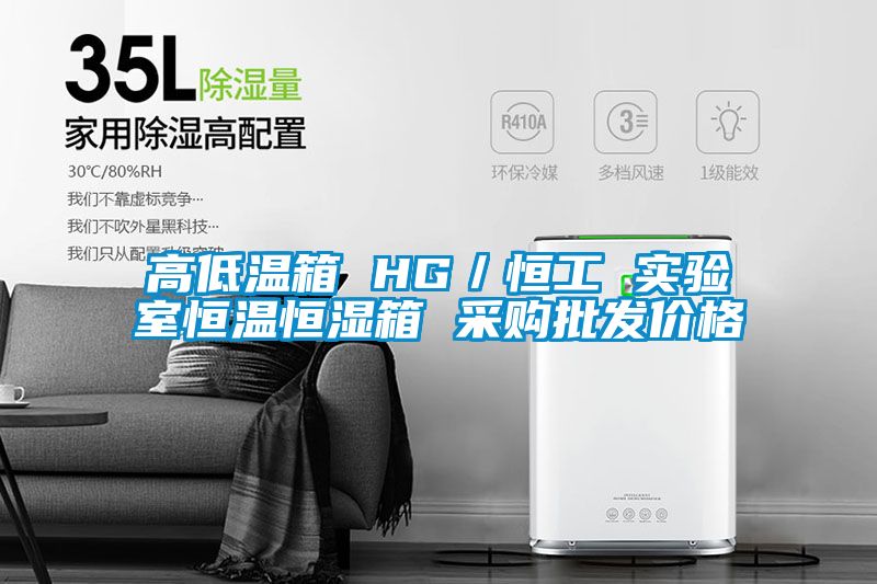 高低温箱 HG／恒工 实验室恒温恒湿箱 采购批发价格