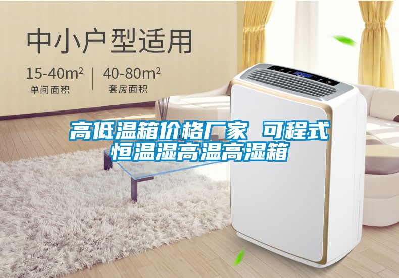 高低温箱价格厂家 可程式恒温湿高温高湿箱