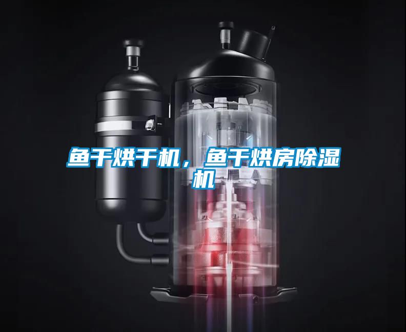 鱼干烘干机，鱼干烘房除湿机