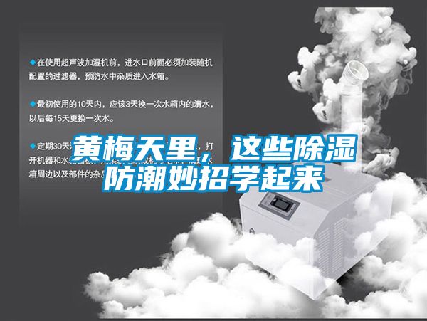 黄梅天里，这些除湿防潮妙招学起来