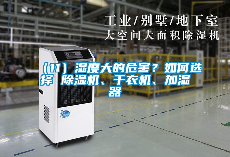 （11）湿度大的危害？如何选择 除湿机、干衣机、加湿器