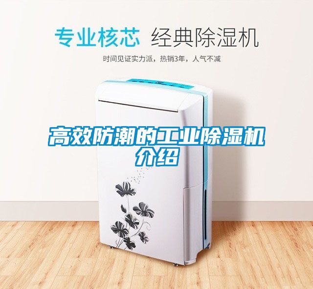 高效防潮的工业除湿机介绍