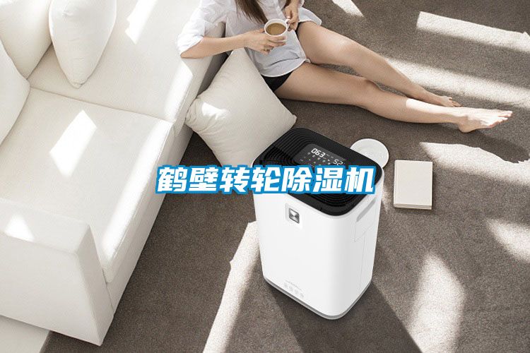 鹤壁转轮除湿机