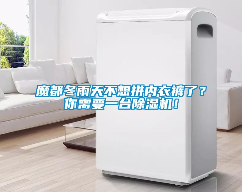魔都冬雨天不想拼内衣裤了？你需要一台除湿机！