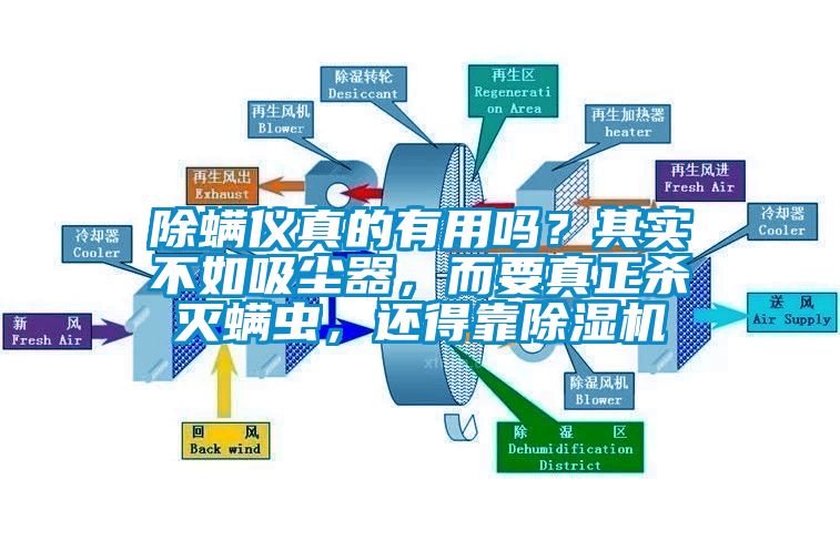 除螨仪真的有用吗？其实不如吸尘器，而要真正杀灭螨虫，还得靠除湿机