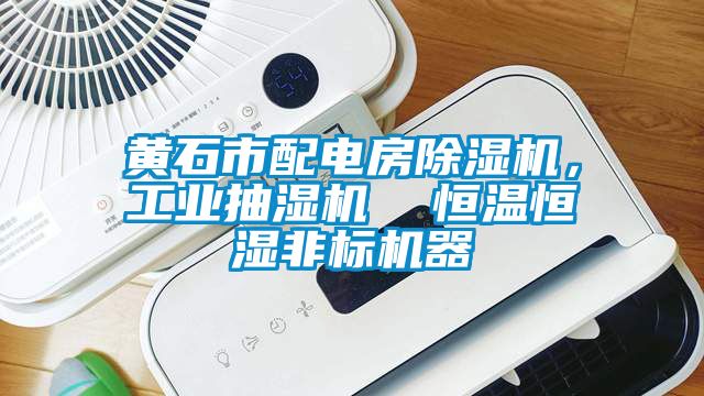 黄石市配电房除湿机，工业抽湿机  恒温恒湿非标机器